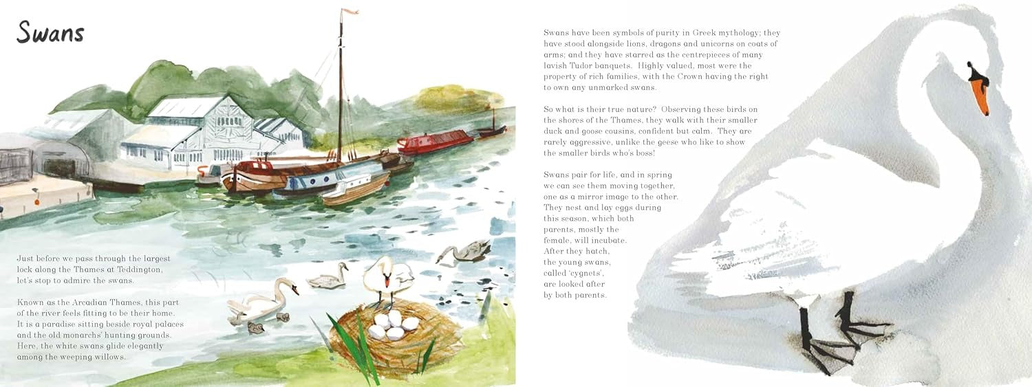 Life on the Thames