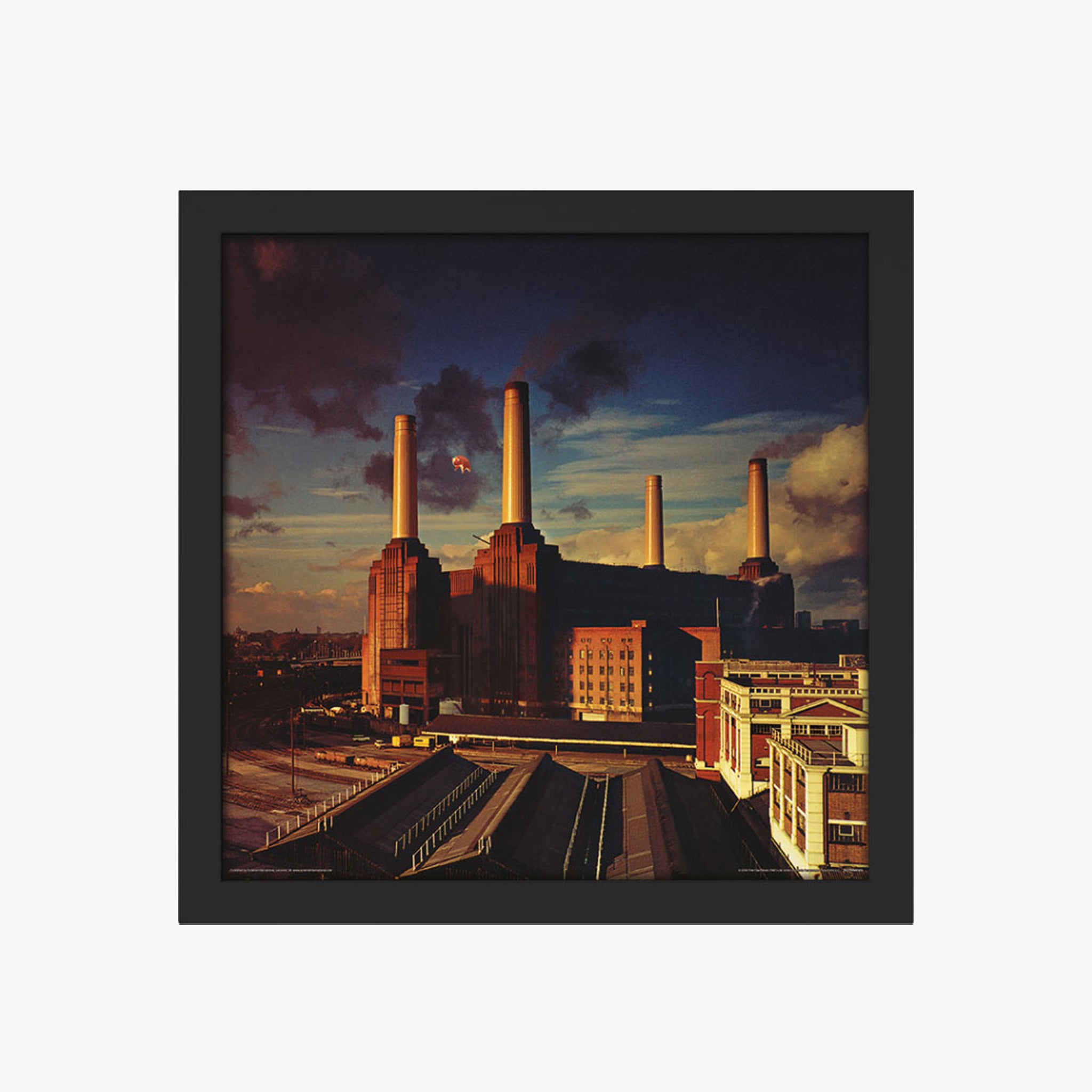 Pink Floyd - 'Animals' Album Cover Print Framed