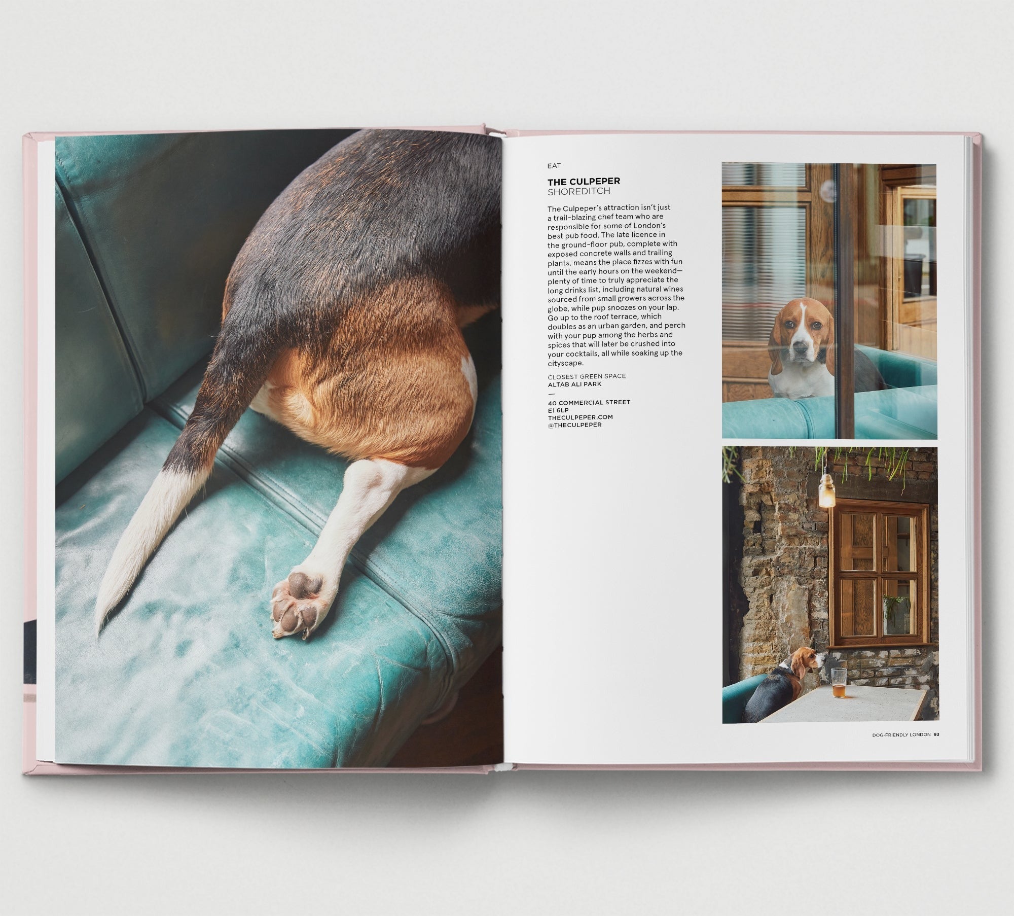 Dog-Friendly London