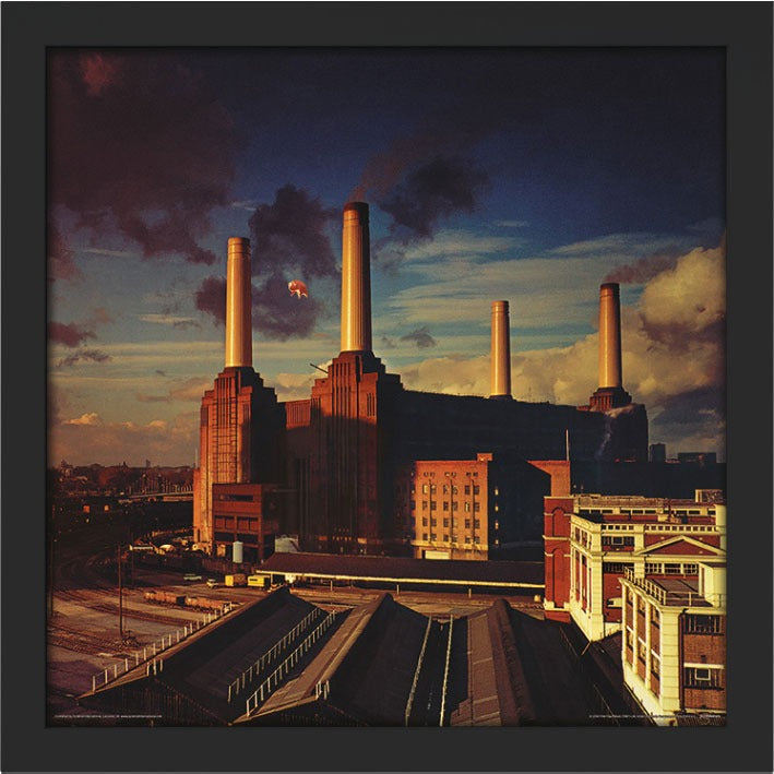 Pink Floyd - 'Animals' Album Cover Print Framed