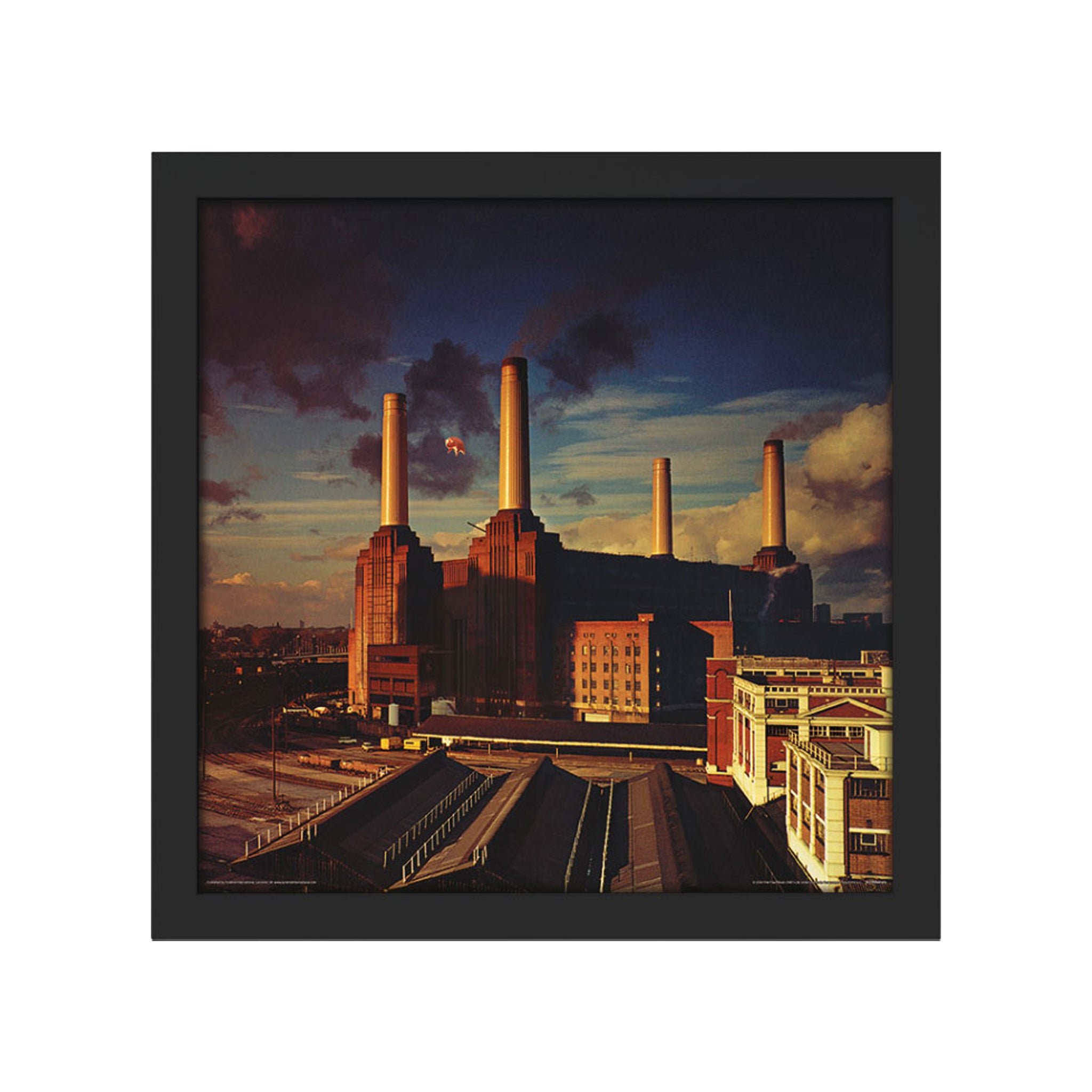 Pink Floyd - 'Animals' Album Cover Print Framed